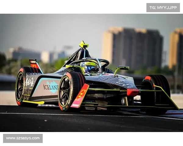 fe赛事2017—FE赛事2023年财报