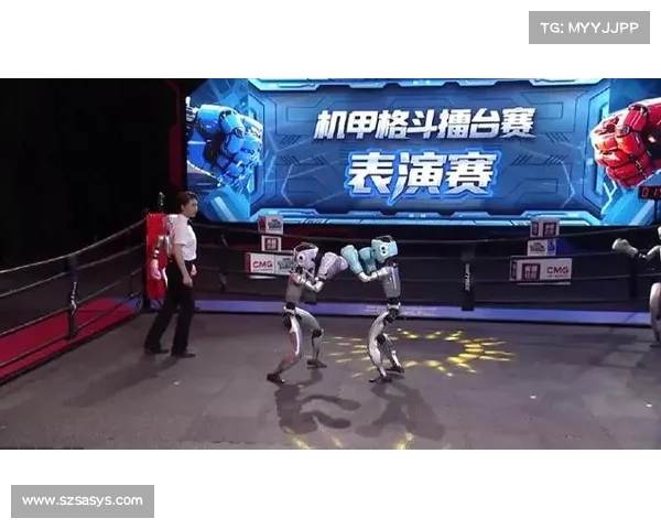 参加格斗赛事有哪些、格斗大赛叫什么